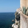 Bonifacio