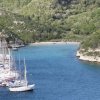 Bonifacio
