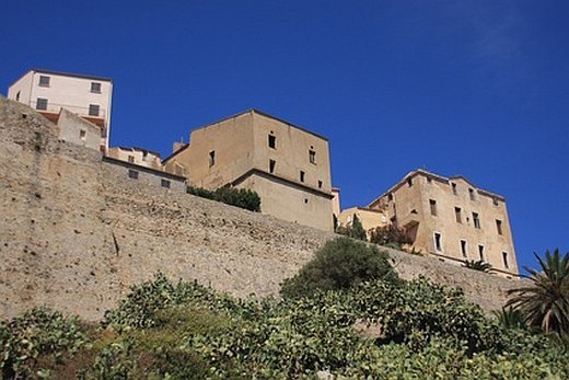 Calvi