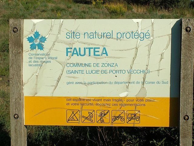 Fautea